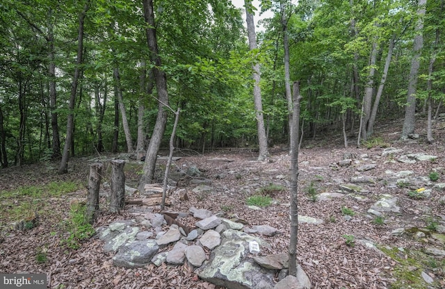 view of landscape