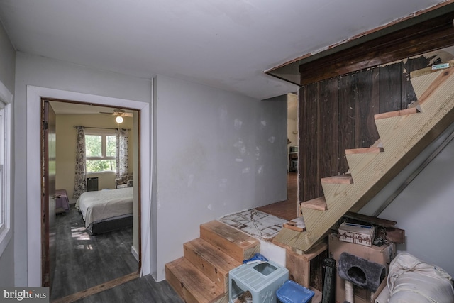 stairway featuring hardwood / wood-style flooring