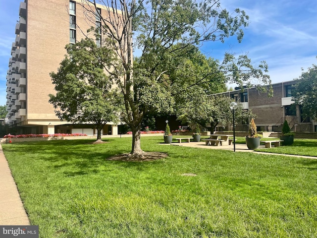 view of home's community with a yard