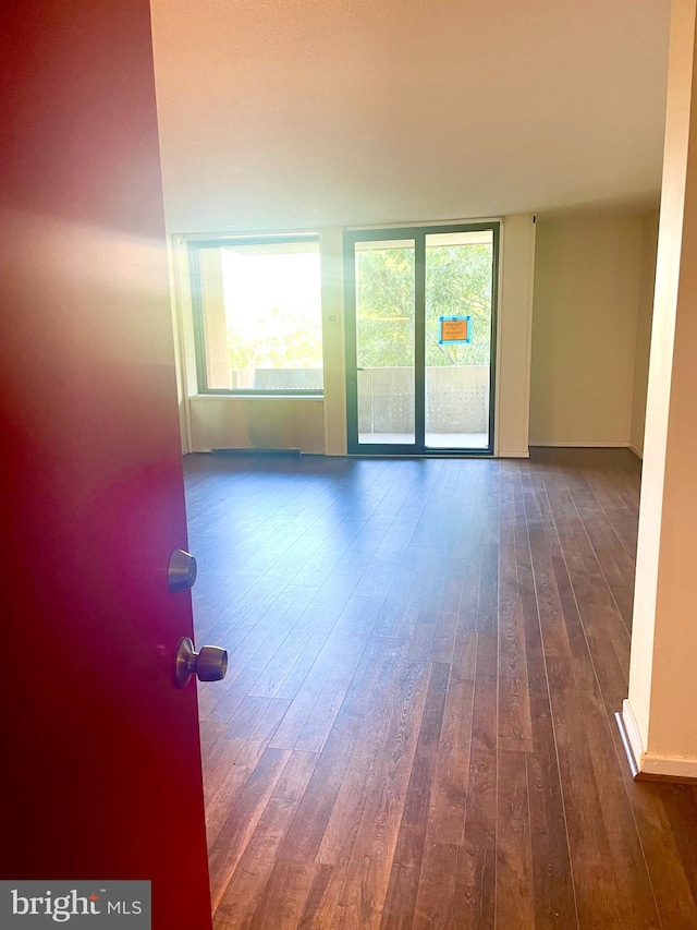 unfurnished room featuring dark wood-type flooring