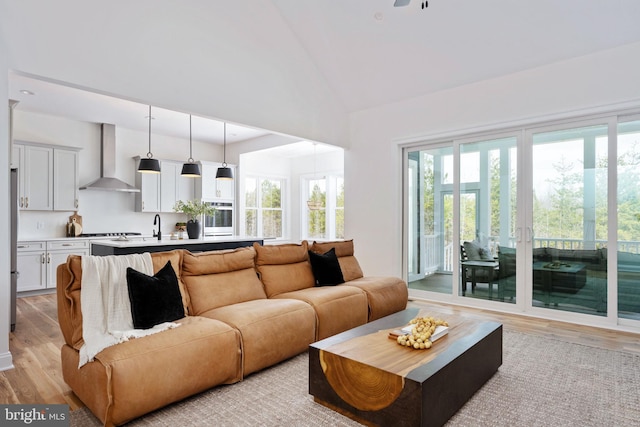 living room featuring high vaulted ceiling and light hardwood / wood-style floors