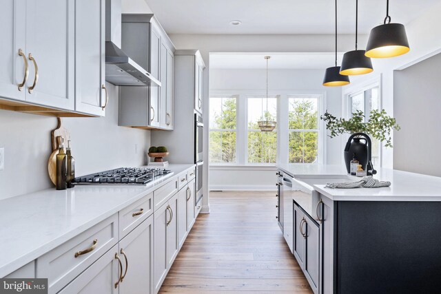 kitchen with sink, hanging light fixtures, light hardwood / wood-style flooring, stainless steel appliances, and wall chimney range hood