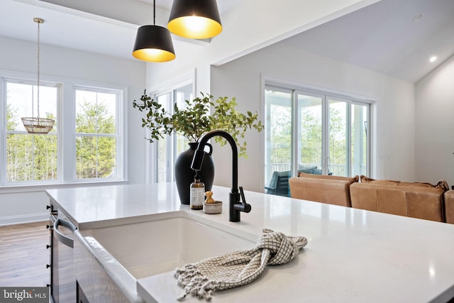 interior details featuring sink, decorative light fixtures, hardwood / wood-style floors, and dishwasher