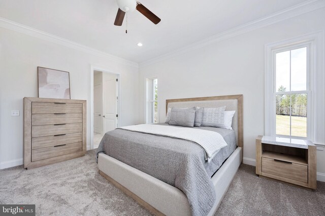 carpeted bedroom with ceiling fan, ornamental molding, ensuite bathroom, and multiple windows