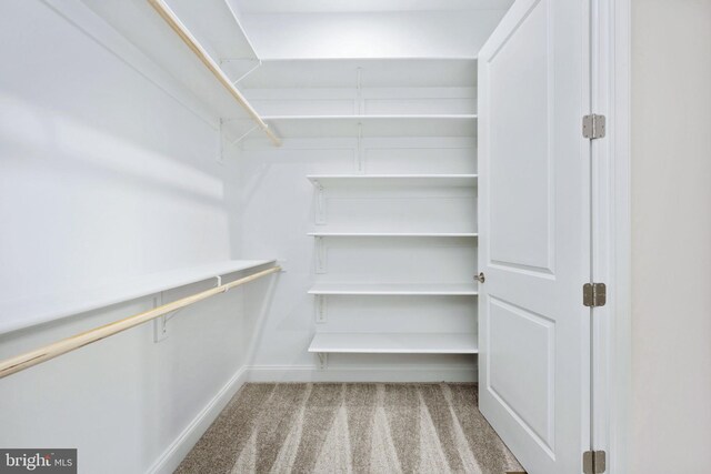 walk in closet with light colored carpet