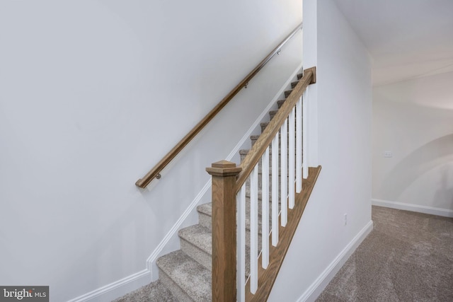 staircase with carpet