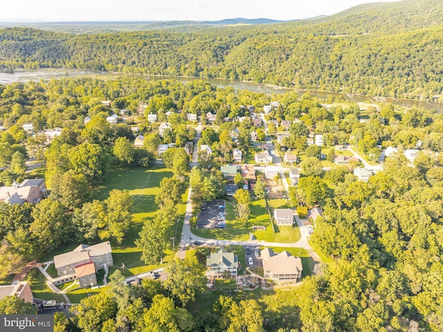 birds eye view of property featuring a residential view and a view of trees