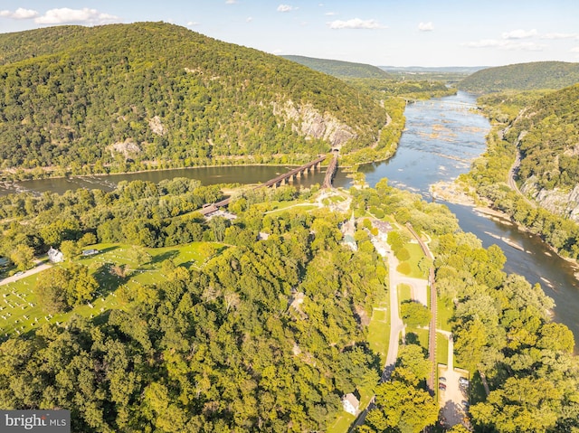 drone / aerial view featuring a water view and a view of trees