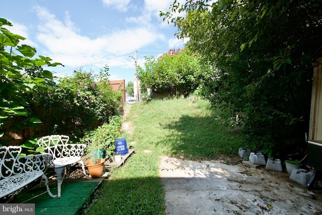 view of yard featuring a patio area