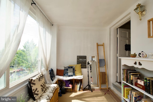 sitting room with wooden walls and carpet flooring