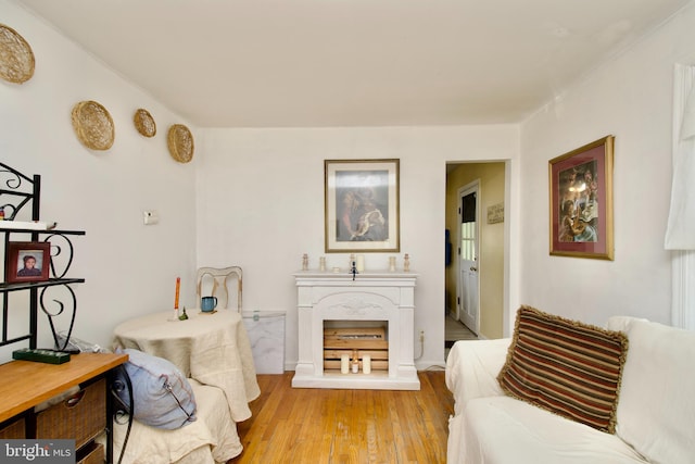 living room featuring light wood-type flooring