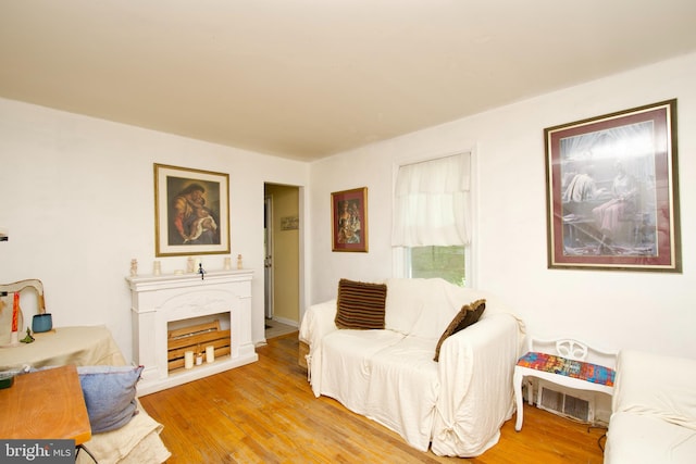 living room featuring a fireplace and light hardwood / wood-style flooring