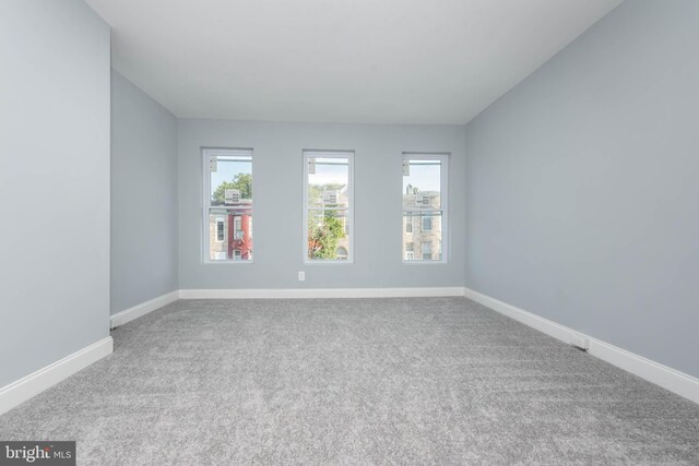 spare room with carpet