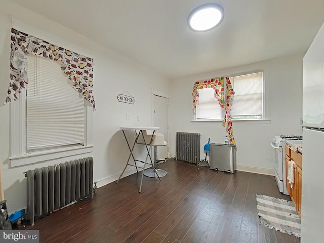 interior space featuring dark wood-style floors, baseboards, and radiator heating unit