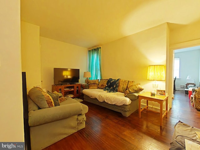 living area featuring wood finished floors