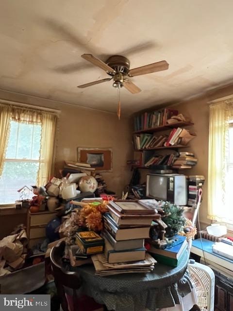 miscellaneous room featuring a healthy amount of sunlight and ceiling fan