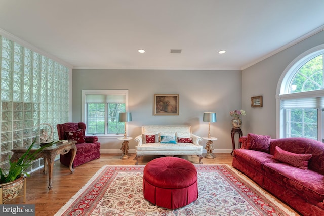 living room with wood-type flooring, crown molding, and a wealth of natural light