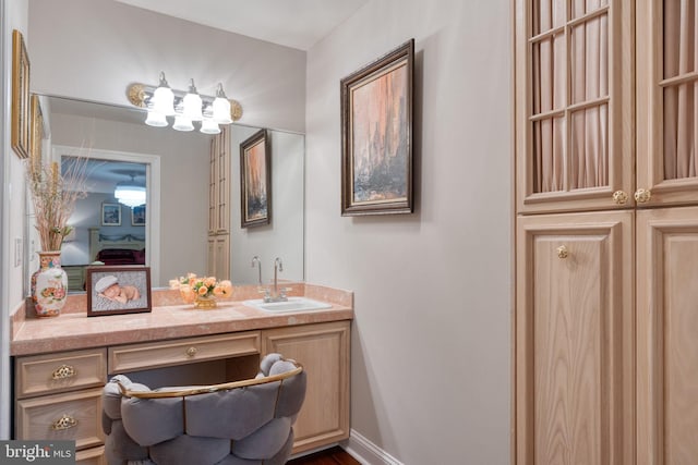 bathroom featuring wood-type flooring and vanity