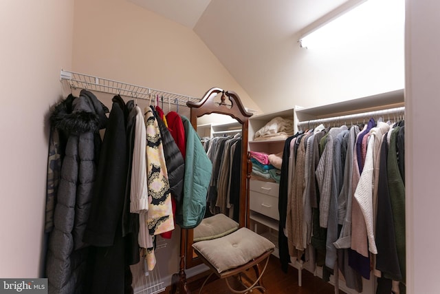 spacious closet with lofted ceiling and hardwood / wood-style floors