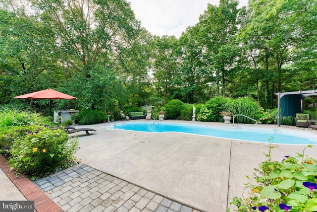 view of pool featuring a patio