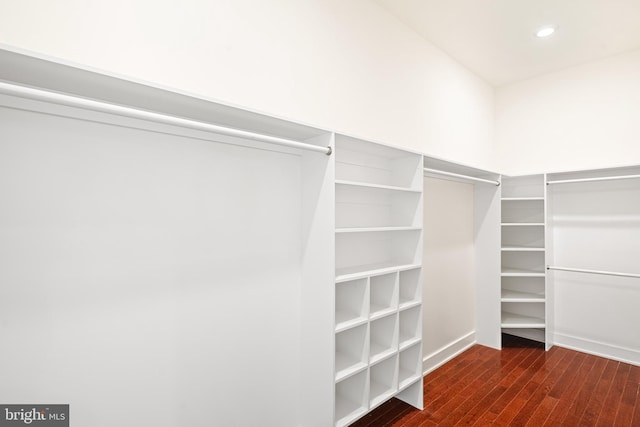 spacious closet with dark hardwood / wood-style flooring