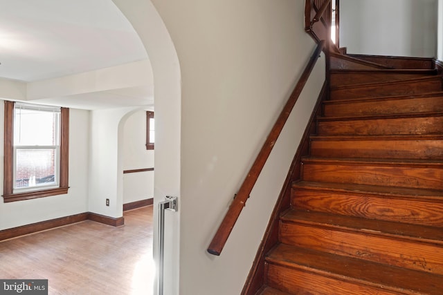 staircase with wood-type flooring