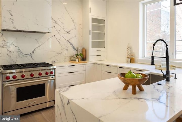 kitchen featuring sink, premium stove, and white cabinets