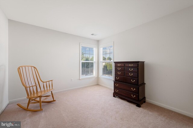 sitting room featuring light carpet