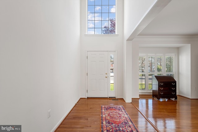 foyer featuring a high ceiling and wood-type flooring