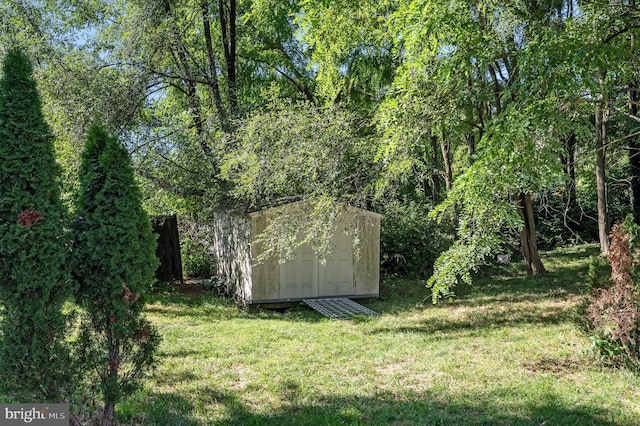 view of yard with a storage shed and an outdoor structure