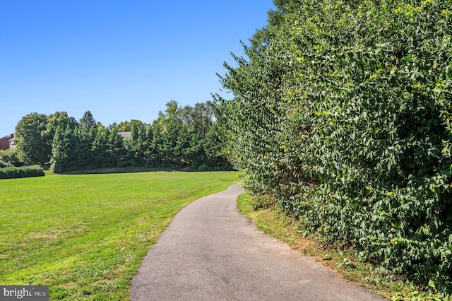 view of home's community with a yard