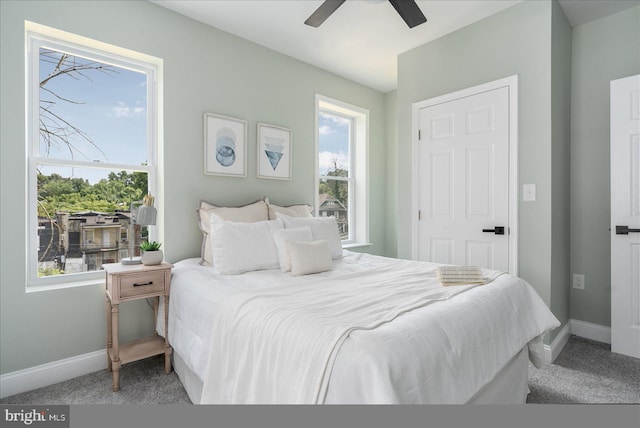 carpeted bedroom with ceiling fan and multiple windows