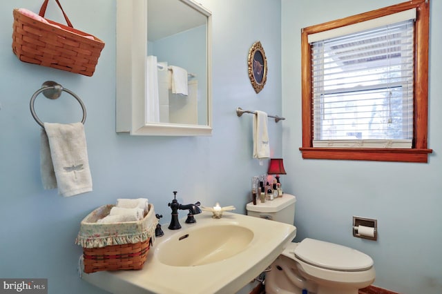 bathroom with sink and toilet