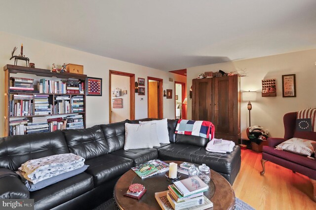 living room featuring wood-type flooring