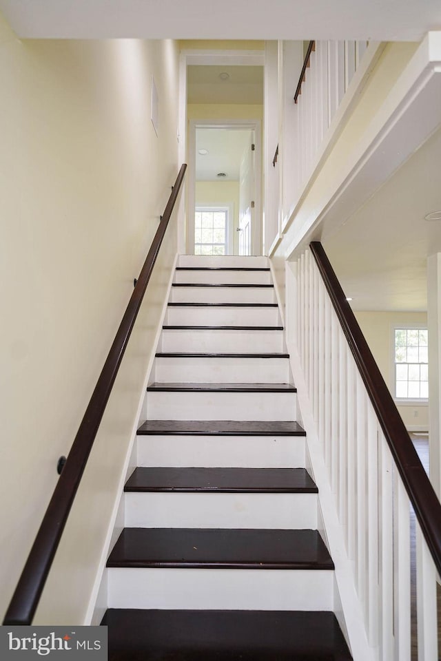 stairs with a healthy amount of sunlight