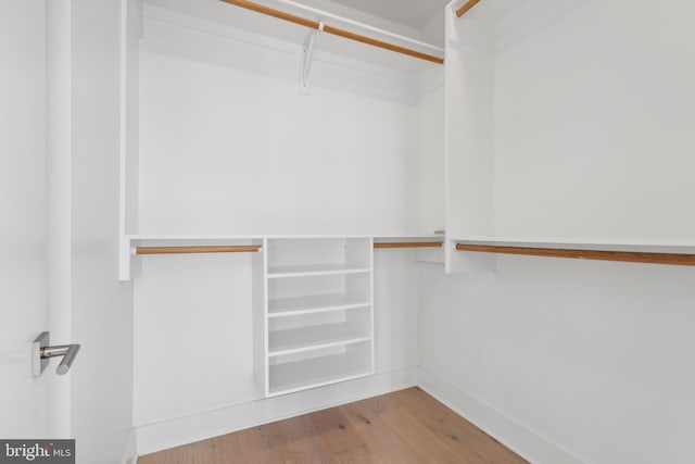 spacious closet featuring wood-type flooring