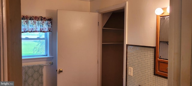 view of closet