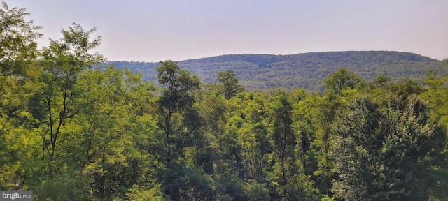 view of mountain feature