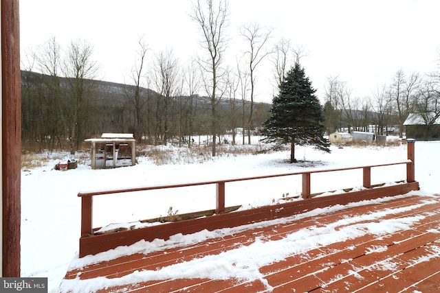 view of snowy yard