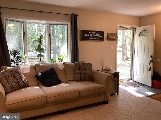 living room featuring carpet and a wealth of natural light