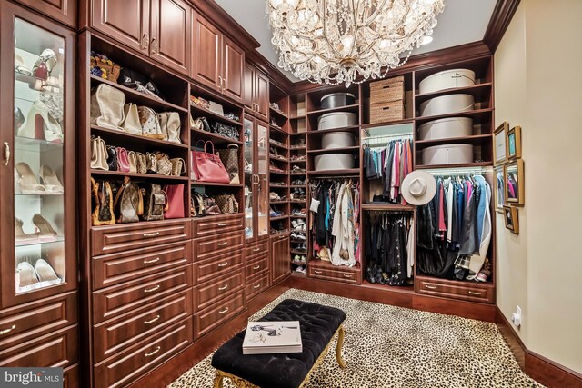 walk in closet featuring carpet flooring