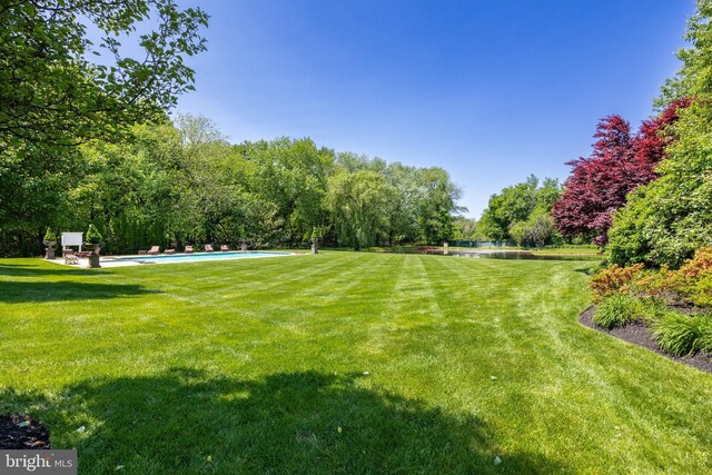 view of community featuring a yard and a swimming pool