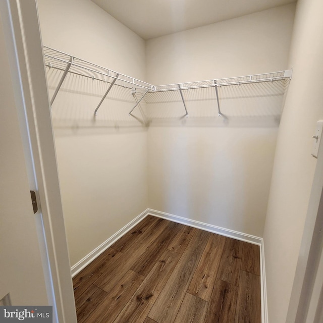 spacious closet featuring hardwood / wood-style floors