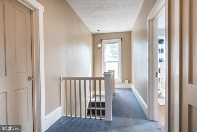 corridor with dark colored carpet