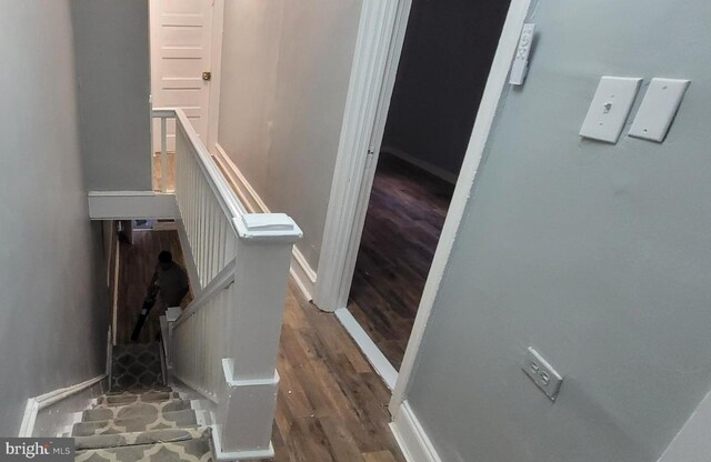 stairway with hardwood / wood-style flooring