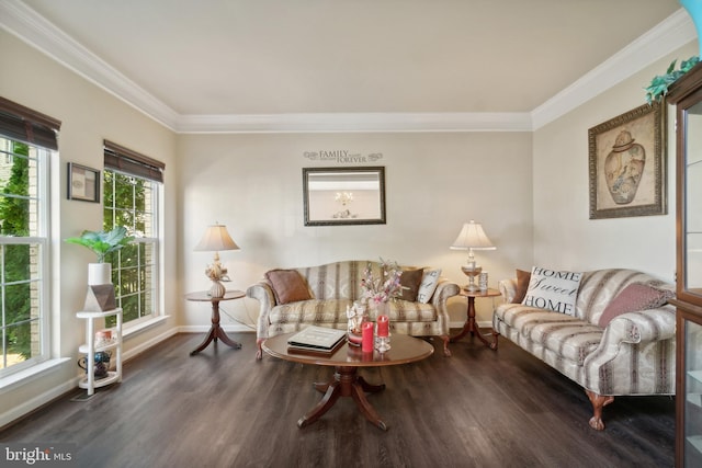 living room with dark hardwood / wood-style flooring and crown molding