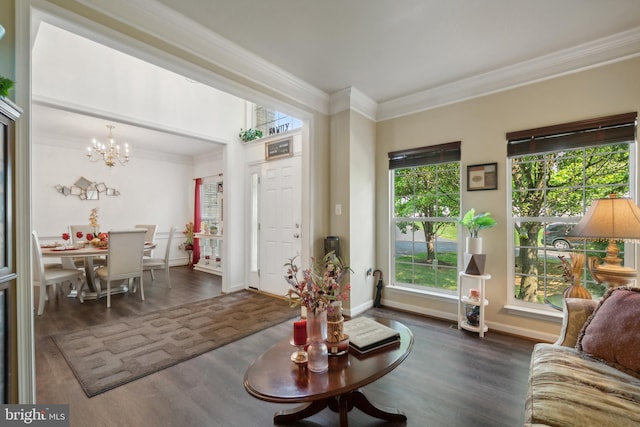 living room featuring dark hardwood / wood-style flooring, ornamental molding, and a notable chandelier