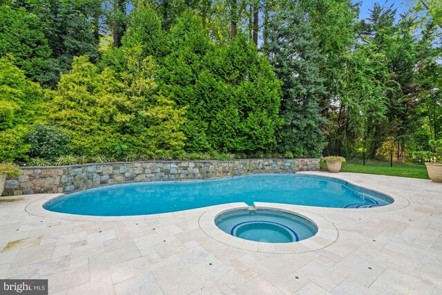 view of pool with an in ground hot tub and a patio