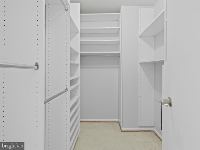 spacious closet with light carpet