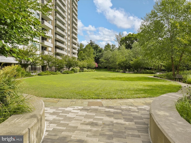 view of property's community featuring a lawn